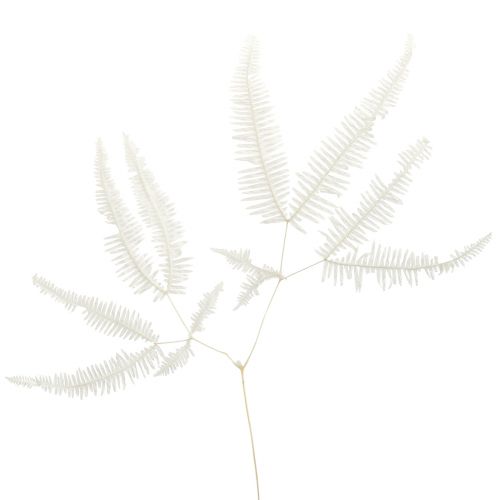 Floristik24 Fern Decoration Fern Fronds Preserved Bleached L45cm 10 pcs