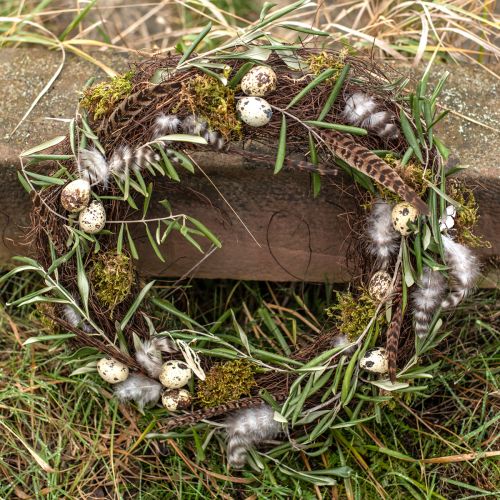 Floristik24 Pheasant Feathers Decoration Real Feathers Natural 40cm 9 Pcs