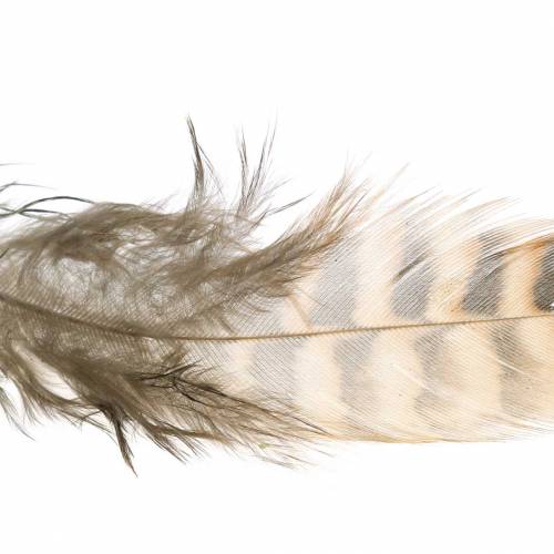 Product Feathers natural 4.5 - 9cm 20g