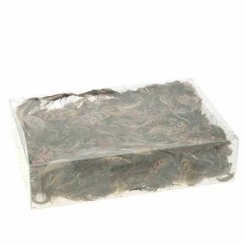 Floristik24 Feathers natural 4.5 - 9cm 20g