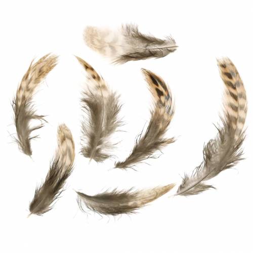 Feathers natural 4.5 - 9cm 20g