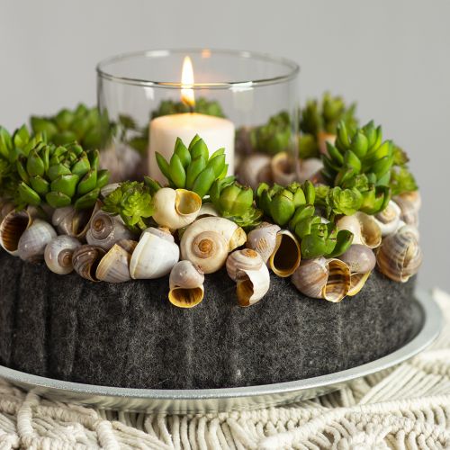 Floristik24 Felt Ribbon Dark Grey 15cm 5m