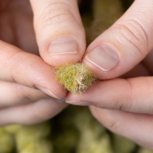 Product Fluffy Mirabell felt cord, wool, green, 25m decorative ribbon for floristry, decoration, crafts, DIY