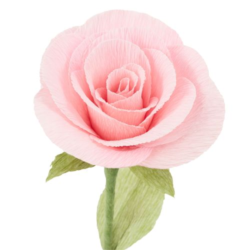 Product Florist crepe paper florist crepe pink 50×250cm 5pcs