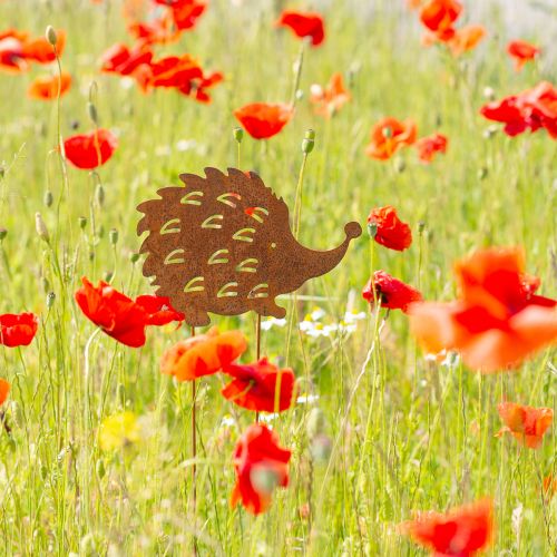 Product Garden stake hedgehog rust rust decoration bed stake 20cm