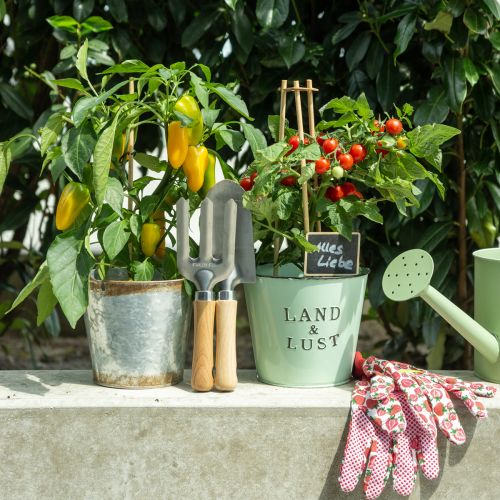 Product Garden tool set with stainless steel hand rake, hand shovel and garden stakes, gift idea for garden lovers