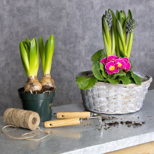 Product Woven basket as stylish floral decoration in the living area. Easter basket, 23cm, 6 pieces.