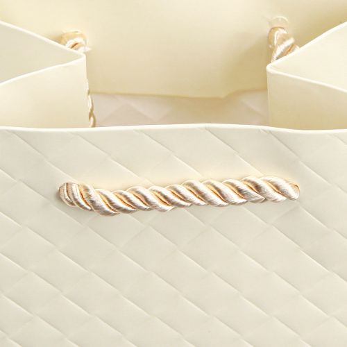 Product Gift Bag for Bottles Paper Cream 12×9×36cm 1 pc
