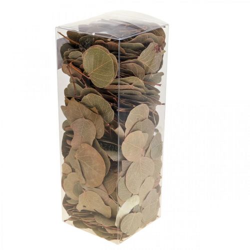 Product Dried Leaves Decoration Moneta Dry Floristry Natural 200g