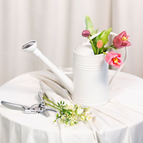 Product Watering can with removable rose head. Ideal for houseplants and balconies. 32cm