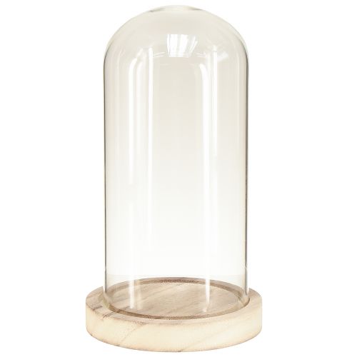 Floristik24 Glass bell with wooden base clear natural Ø12cm H21cm