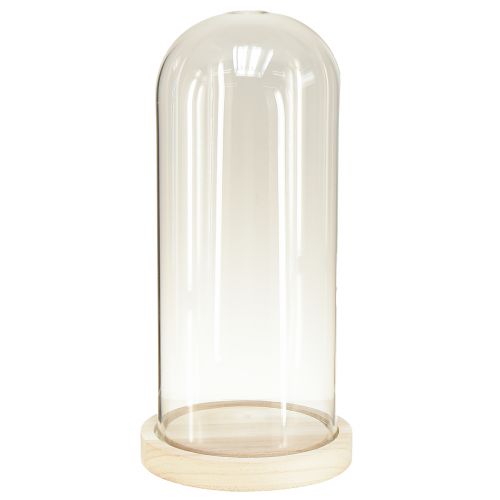 Floristik24 Glass dome glass bell with base wood clear Ø14cm H28,5cm