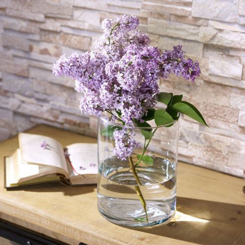 Glass vase clear cylindrical Ø12cm H20cm