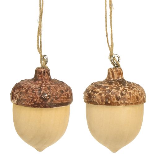 Floristik24 Acorn for hanging decoration autumn natural/brown 5.3x3.5cm 12 pieces