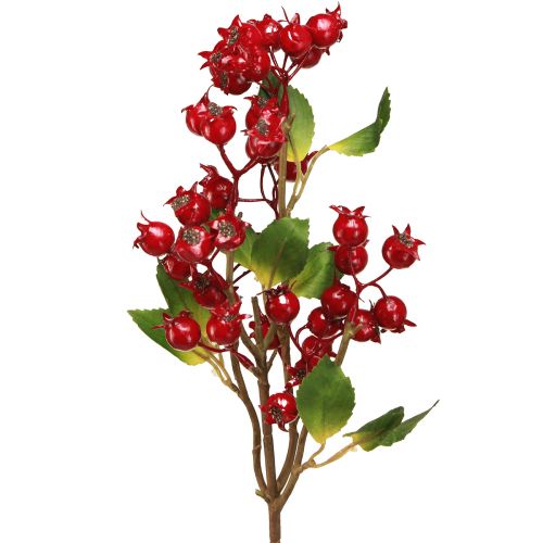 Floristik24 Rosehip decoration branch with red fruits L60cm 2 pcs