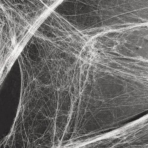 Product Halloween decoration spider web cobwebs 70×100cm 150g