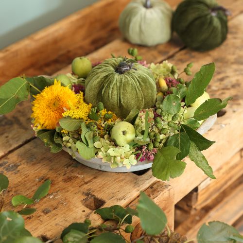 Product Autumn decoration pumpkin light green green dark green Ø13cm 3 pcs