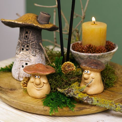 Autumn decoration set hedgehog mushrooms dragon – buy decoration box cheap