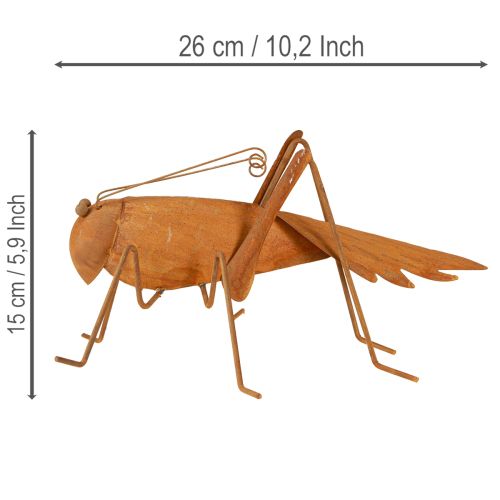 Product Grasshopper garden decoration, rust metal, freestanding decoration, 26cm
