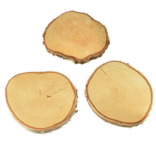 Floristik24 Wooden discs birch wood with bark tree discs Ø20-22cm 3 pcs