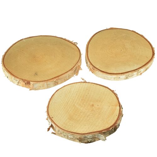 Floristik24 Wooden discs decoration birch tree discs Ø15-18cm 3 pcs