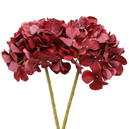 Floristik24 Hydrangea Artificial Burgundy Large Flower Ø15cm L58cm 2pcs