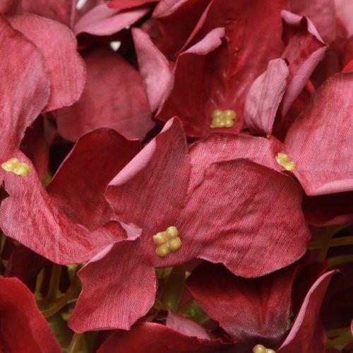 Floristik24 Hydrangea Artificial Burgundy Large Flower Ø15cm L58cm 2pcs