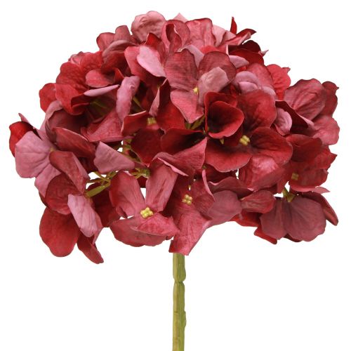 Floristik24 Hydrangea Artificial Burgundy Large Flower Ø15cm L58cm 2pcs