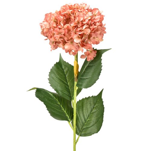 Floristik24 Hydrangea Pink 80cm 1 pc
