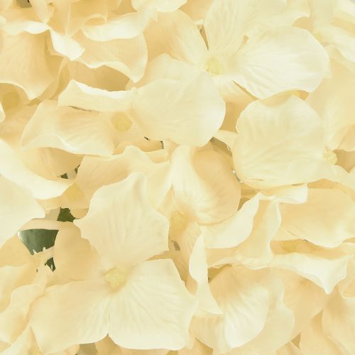 Product Hydrangea wreath cream artificial hydrangeas Ø40cm