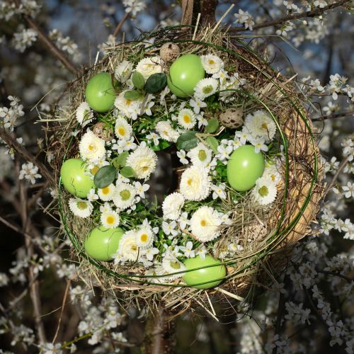 Product Chicken Eggs 5.5cm - 7cm Green 10 pcs