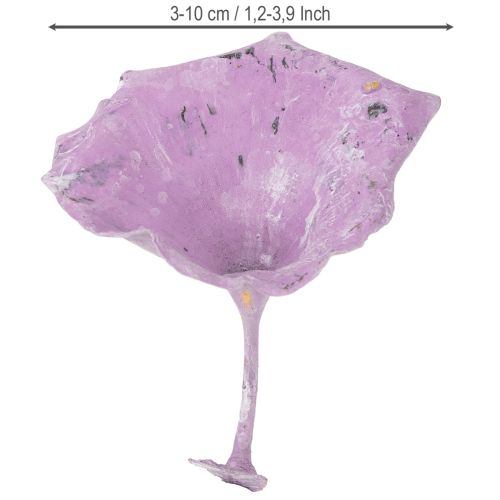 Product Kalix Mushroom Purple, White Washed 100 pcs