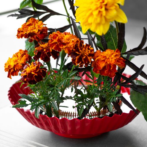 Product Creative floral arrangement aid with brass pins for Ikebana and flower arrangements