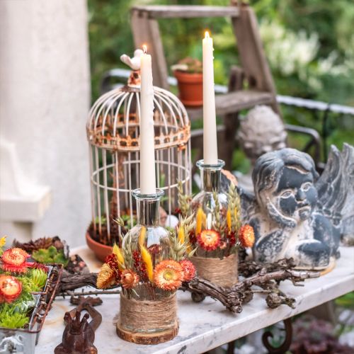 Product Candle Holder Decorative Bottles Mini Vases Glass Clear H19.5cm 6 pcs