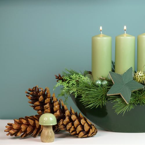 Floristik24 Pine cones Weymouth pine Strobus natural mixed 2,5kg