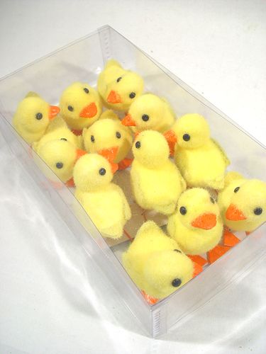 Floristik24 Chick with wire feet 8cm 12pcs. yellow / orange