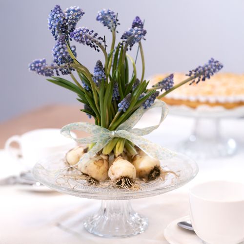 Floristik24 Classic glass cake plate on foot - Elegant for every celebration Ø 20cm