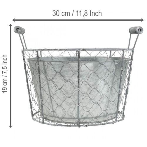 Product Wire basket pot for planting, spring basket, metal, Ø26cm