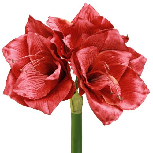 Floristik24 Artificial Amaryllis Artificial Flowers Red Ø18cm L68cm 2pcs
