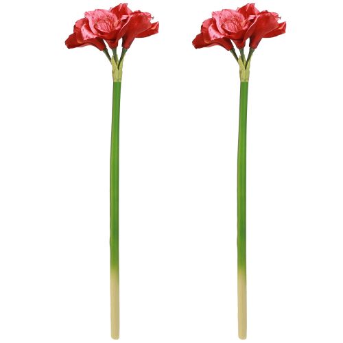 Floristik24 Artificial Amaryllis Artificial Flowers Red Ø18cm L68cm 2pcs