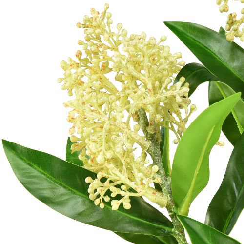 Product Artificial Flowers Cream Skimmia japonica Skimmie 45cm 2pcs