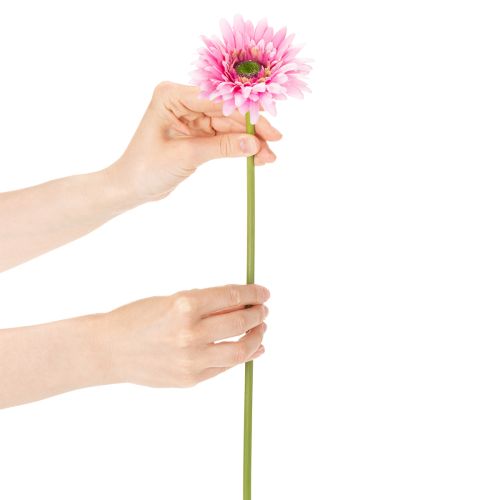 Artificial Gerbera Garden Flowers, Pink, 47cm, 6 Pieces | Floristik24.ie