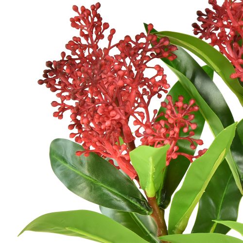 Product Artificial Flowers Red Skimmia japonica Skimmie 45cm 2pcs