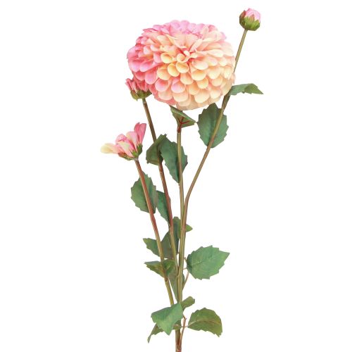 Product Artificial Dahlias in Peach Pink Ø10cm L80cm 2pcs