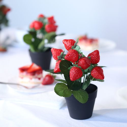 Floristik24 Artificial strawberry plant in pot artificial plant 19cm