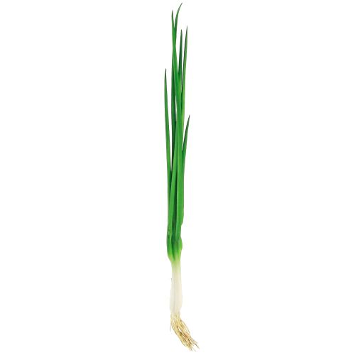 Product Artificial spring onions decorative vegetables L30cm 4 pcs