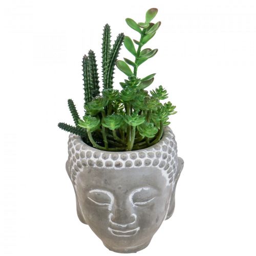 Floristik24 Artificial Succulent Flower Pot Buddha Ø12cm H24cm