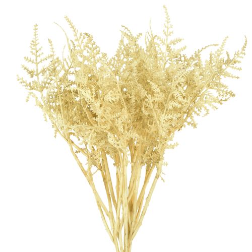 Artificial fern as bleached L34cm 12 pcs 2 bunch