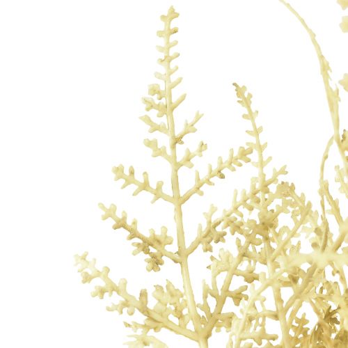 Product Artificial fern as bleached L34cm 12 pcs 2 bunch
