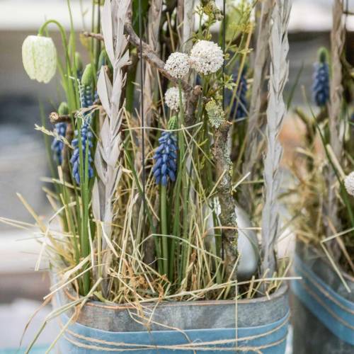 Floristik24 Artificial drumstick white craspedia bundle drying bouquet 3pcs